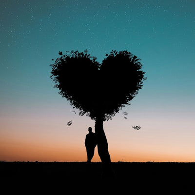 Quels sont les mots d’amour les plus touchants?